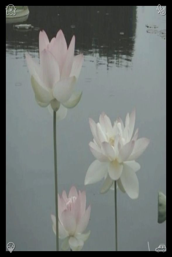 winterwriter38's tweet photo. Deeds outweigh hollow boasts. Don't gauge achievement solely through wealth, popularity, or accolades. Genuine success lies in becoming gentler, bolder, and more comfortable with the reflection staring back at you every morning. https://t.co/gfN9AJzcqq