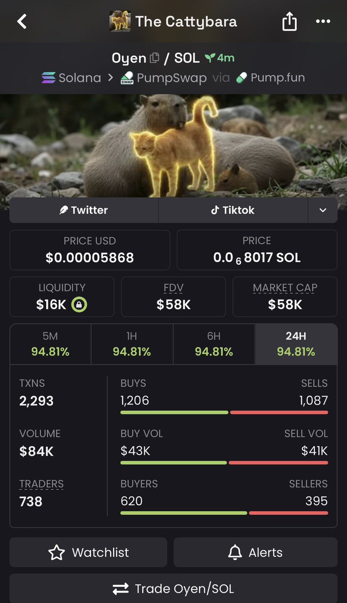 _callerhex's tweet photo. 11x on $Oyen

DM4NZWDpo6H1rYft47JUoLhQjnQWQKNwNsbwQJBvpump https://t.co/UQvwJFJSBx