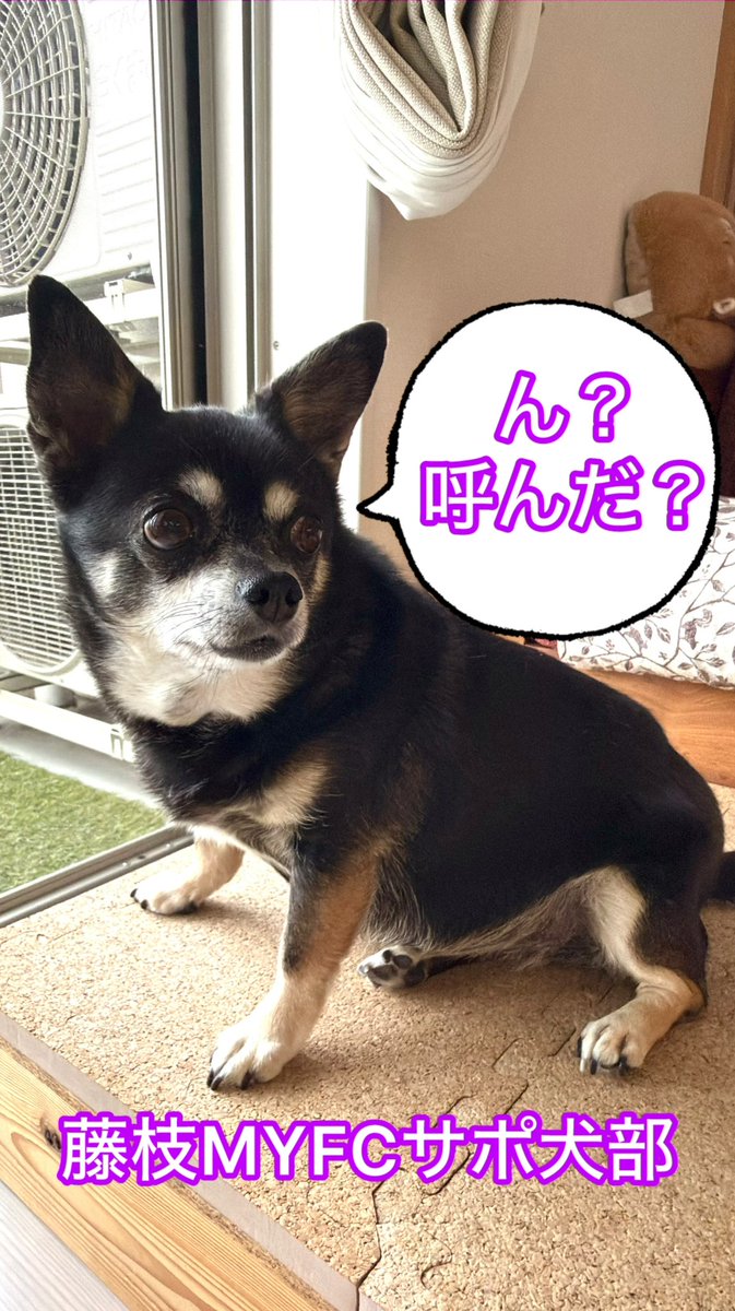 キラリン tweet media