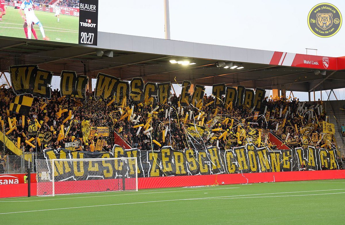ybfans's tweet photo. Fotos > @fcthun_official - @BSC_YB - 01.08.2026 (https://t.co/JWGlPcpLjk). #bscyb #yb #ybforever #thunyb https://t.co/gBfMiLlppL