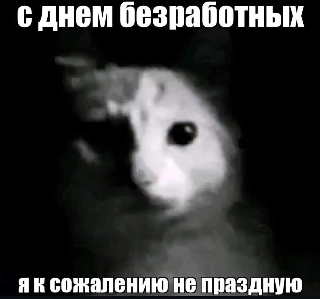 pidarok_twt's tweet photo. @EbanNovuk ты https://t.co/UKZWwXsACw