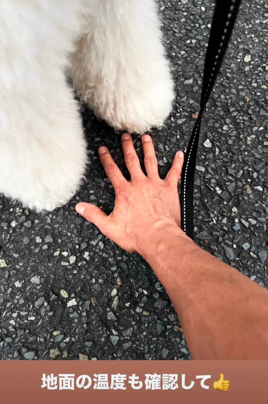 当時のメディア報道・掲載写真