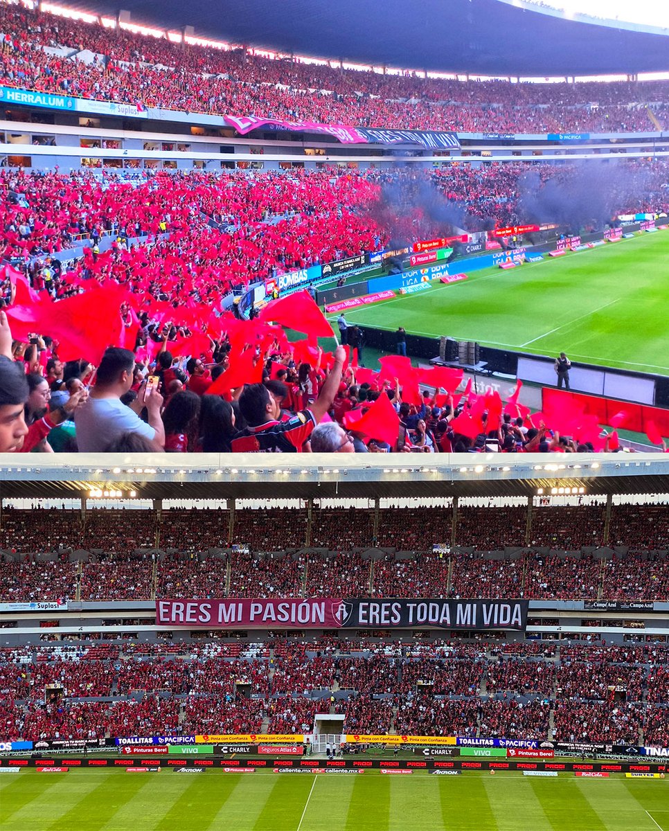 Barra Brava tweet media
