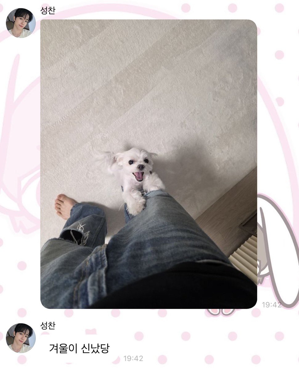 미니 tweet media