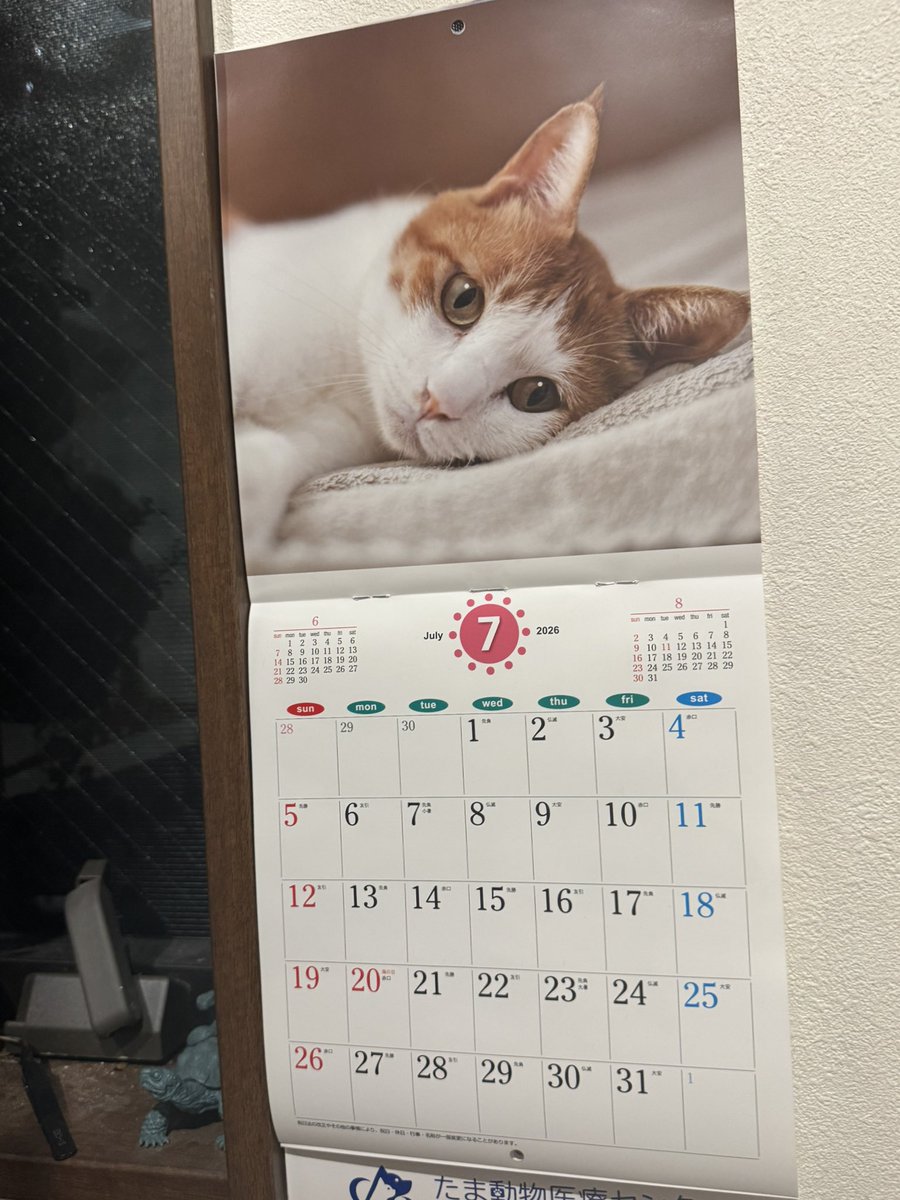 5963_37564's tweet photo. あ、若干旭くんに似てるカレンダーをめくる必要性に今気が付いた。 https://t.co/9ZaLvi8QJR