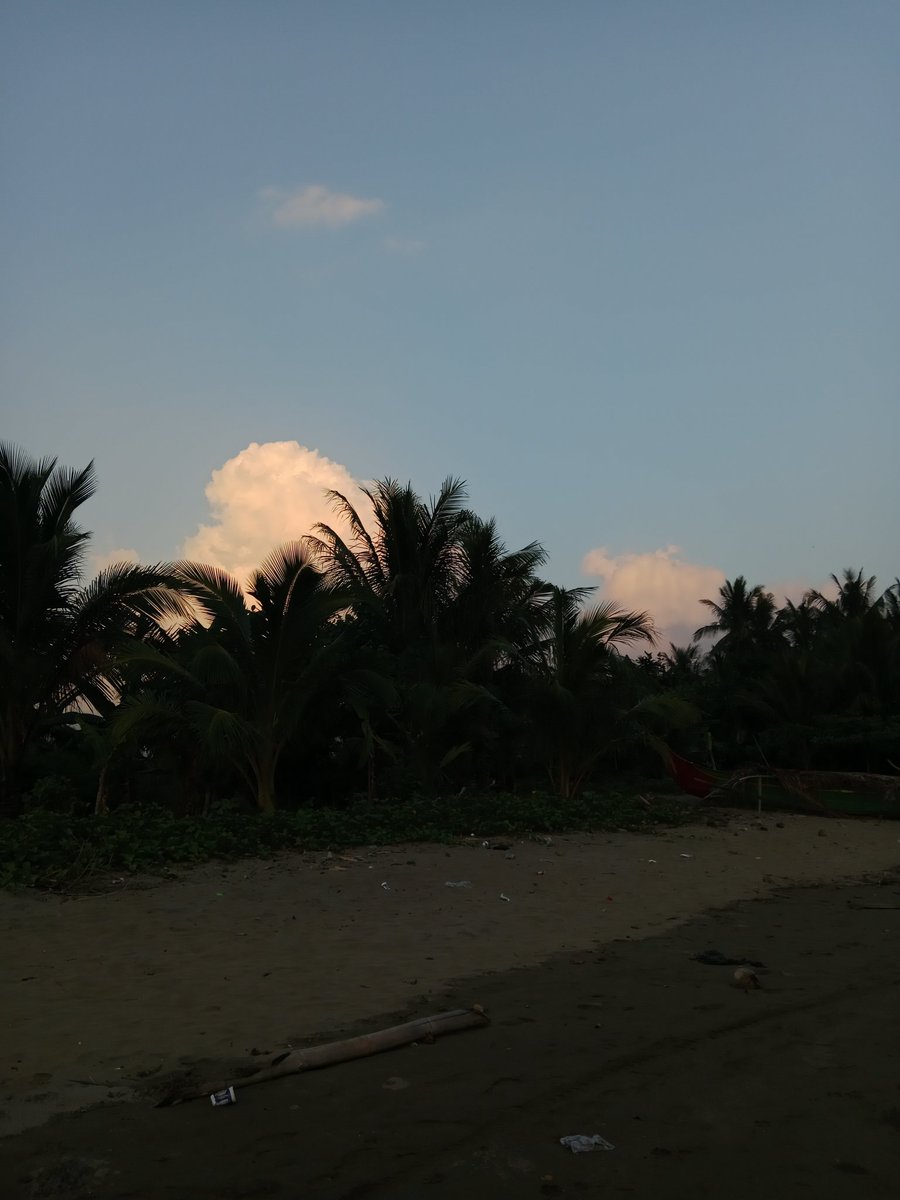 sorrowfals's tweet photo. Pov hidup deket pantai https://t.co/Bfn0asSxqN