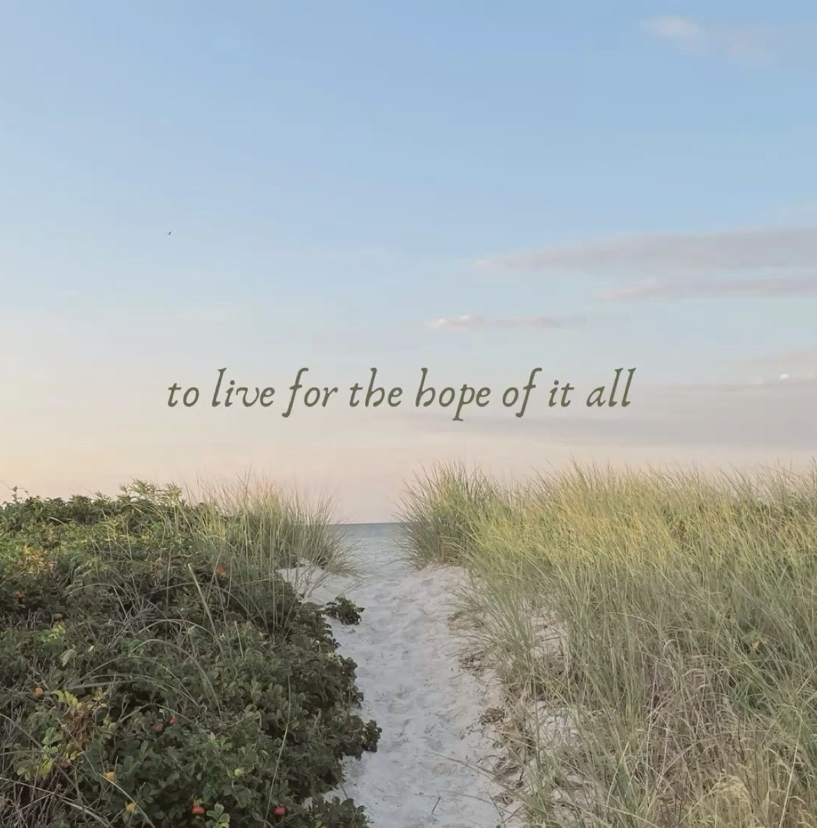 Hissah_Hs's tweet photo. To everyone still holding on to soft hopes, summer dreams, and living for the hope of it all.

- Happy August🫶🏻🤍! https://t.co/6CjrTqSFWQ