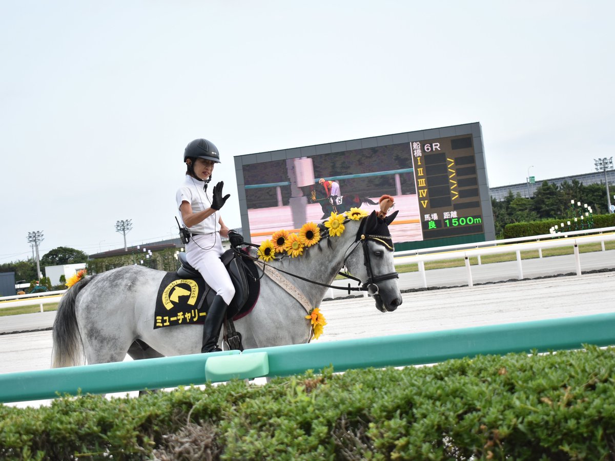 mototetsu1X8X11's tweet photo. さっき、船橋競馬場で撮影したミューチャリー号…。本当にミューチャリー号の頭上に、山Pぬいぐるみ🧸がいたなぁ…。😆 #船橋競馬場 https://t.co/KlaDkJdR1R