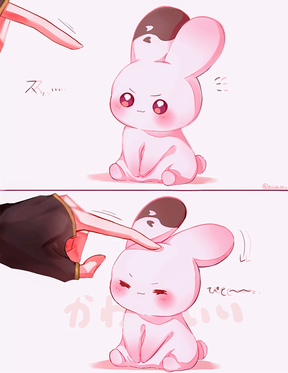 maegamipinku's tweet photo. 撫でるときみみ��たーってしてくれそう https://t.co/8U7cC051kE