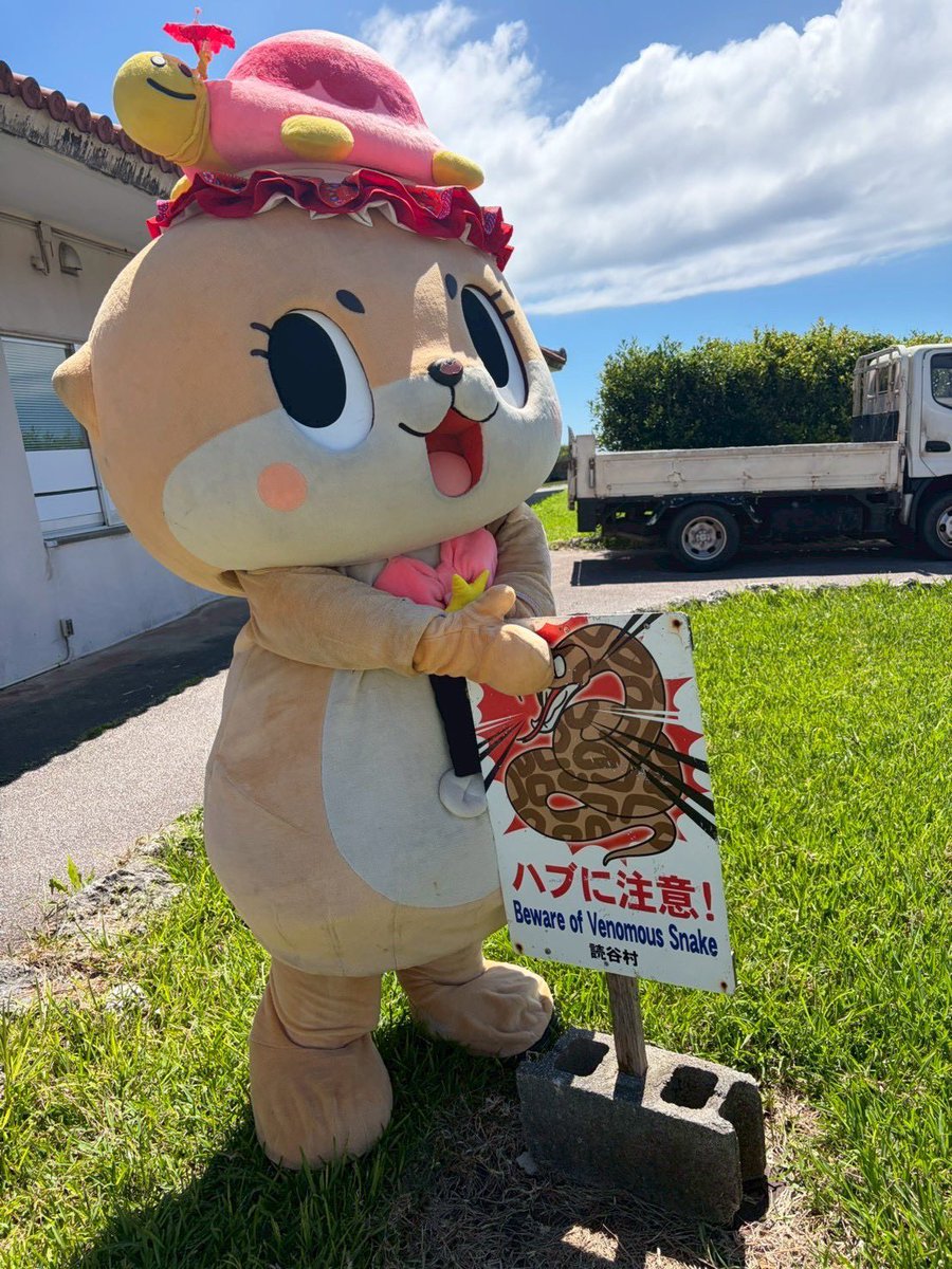 Chiitan_Okinawa's tweet photo. 今日はハブの日🐍

沖縄の夏はハブに注意⚠️
見つけても近づいちゃダメさ〜 https://t.co/Kd5brFvo4Z
