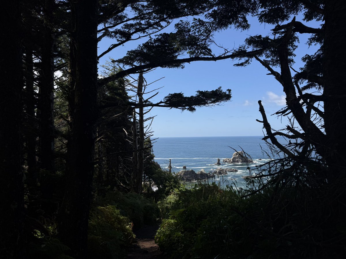 ctrlarchive's tweet photo. where the forest meets the ocean https://t.co/QH0scKwlhU