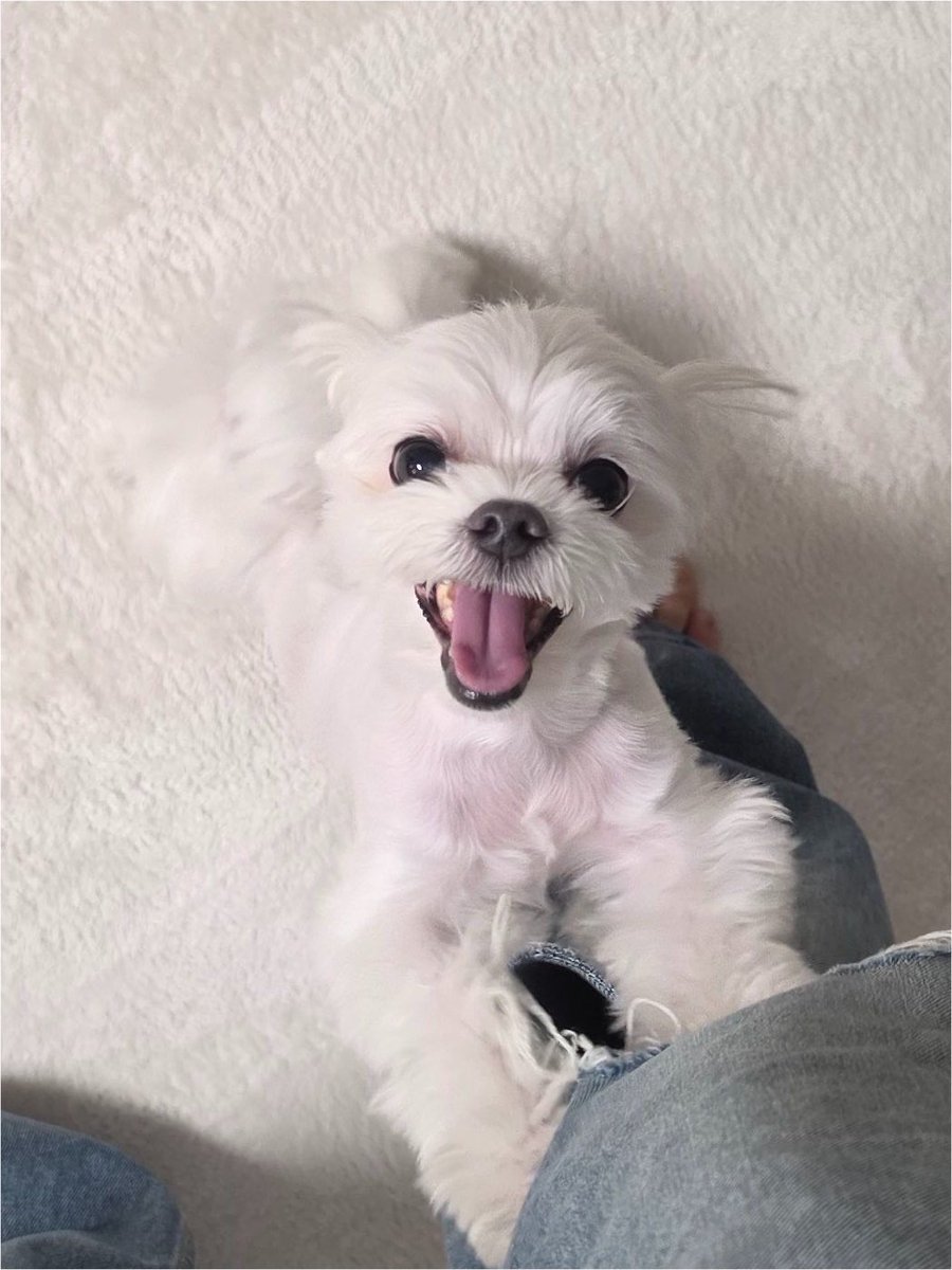 쯔 tweet media