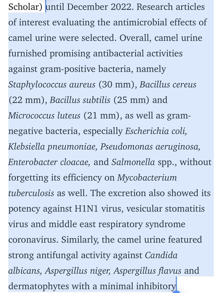 Moon7zm3's tweet photo. @endChristphobia It does indeed have anti bacterial properties. Keep in mind this was in 7th century Arabia where vaccines and modern technology wasn’t available therefor the people improvised. 

Now can you explain the benefits of your God commanding  Ezekiel to make shit bread? https://t.co/Lu0JmM5uw3