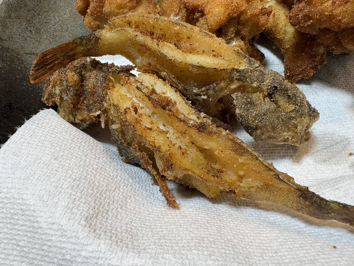 uberangler1205's tweet photo. 福浦岸壁で釣れたカサゴを唐揚げに🍗
めちゃくちゃ美味しい https://t.co/IAZIyKnXA3