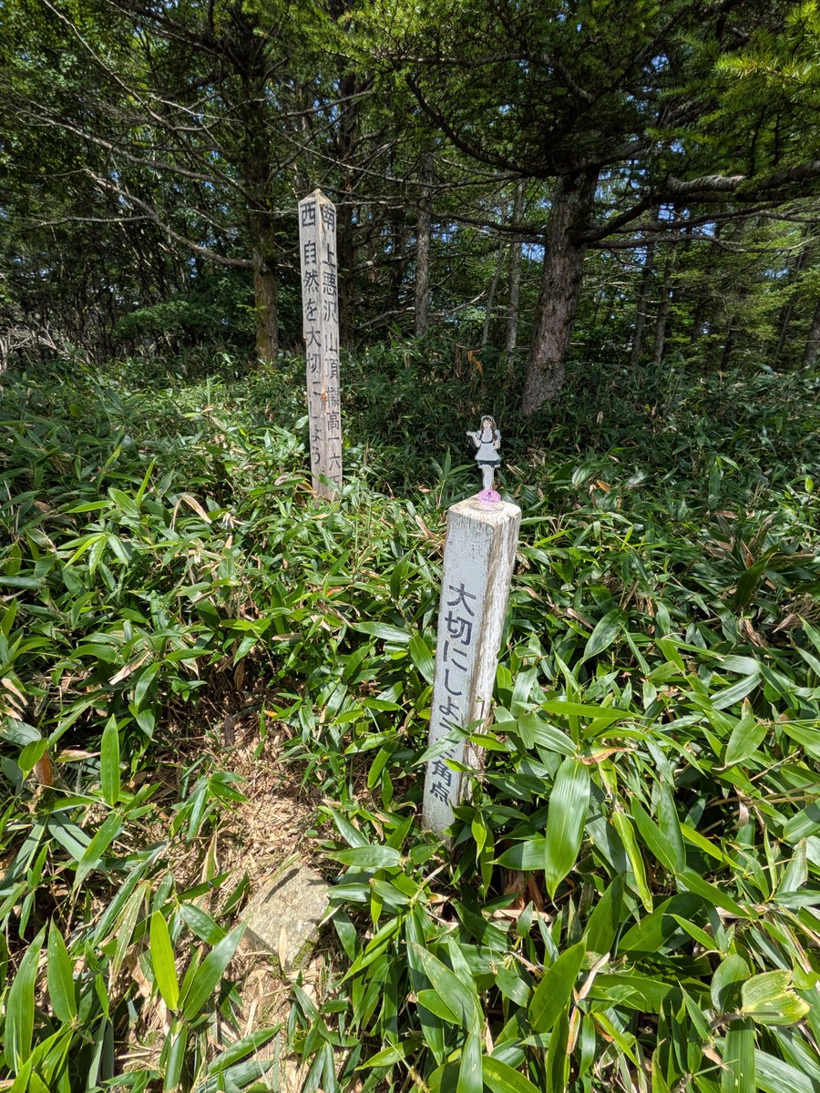 Qm_team's tweet photo. 8月になったので月イチバッチ獲得の為に長野県信州平谷村 にある上悪沢山 1656mへ 帰りは道の駅 信州平谷🌻ひまわりの湯へ
#おつかれるーちゃん #ひまわりの湯 #YAMAP #山歩しよう #無事下山 #おつかれ山 https://t.co/YWRqYcxdU8