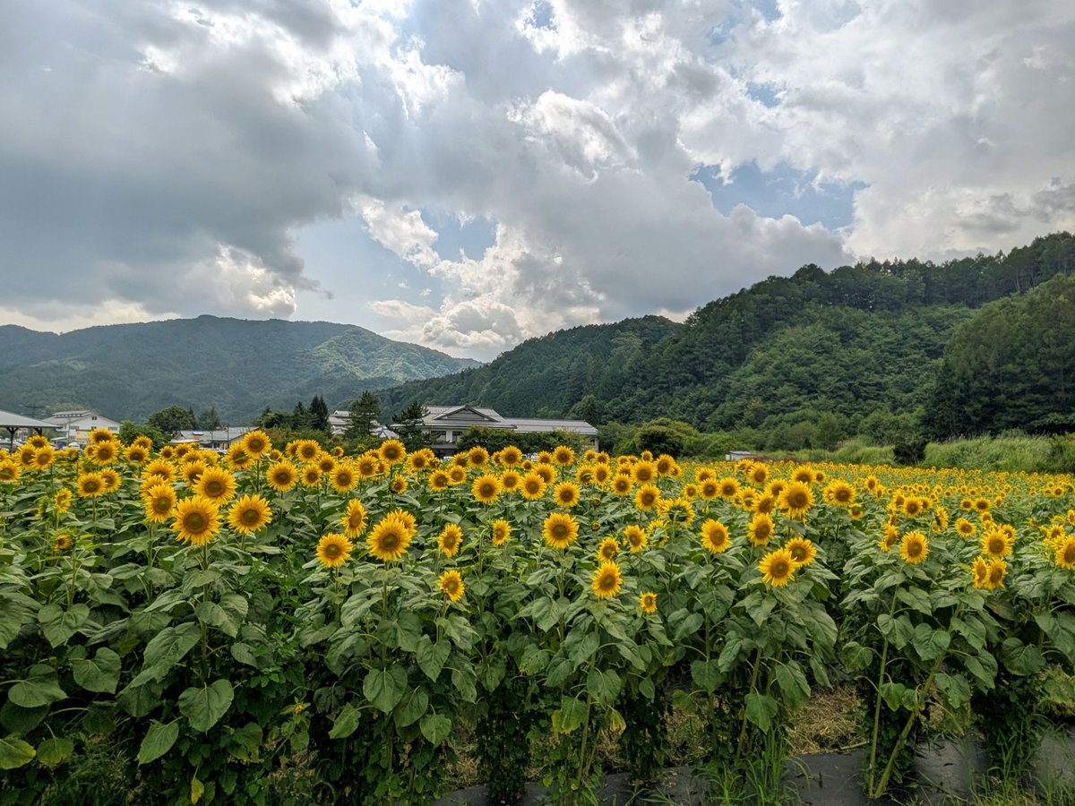 Qm_team's tweet photo. 8月になったので月イチバッチ獲得の為に長野県信州平谷村 にある上悪沢山 1656mへ 帰りは道の駅 信州平谷🌻ひまわりの湯へ
#おつかれるーちゃん #ひまわりの湯 #YAMAP #山歩しよう #無事下山 #おつかれ山 https://t.co/YWRqYcxdU8