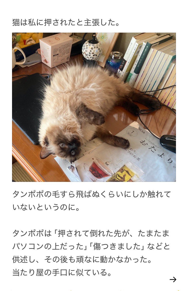 yalalalalalala's tweet photo. 【猫に触れる時の注意喚起】 https://t.co/BWvFkbw6D8