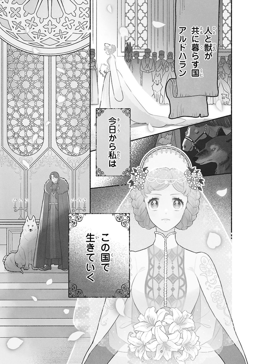 mame_hoshiko's tweet photo. 「なんでもする」偽り夫婦のお話(前編)　1/11 https://t.co/24tIHOeRXP