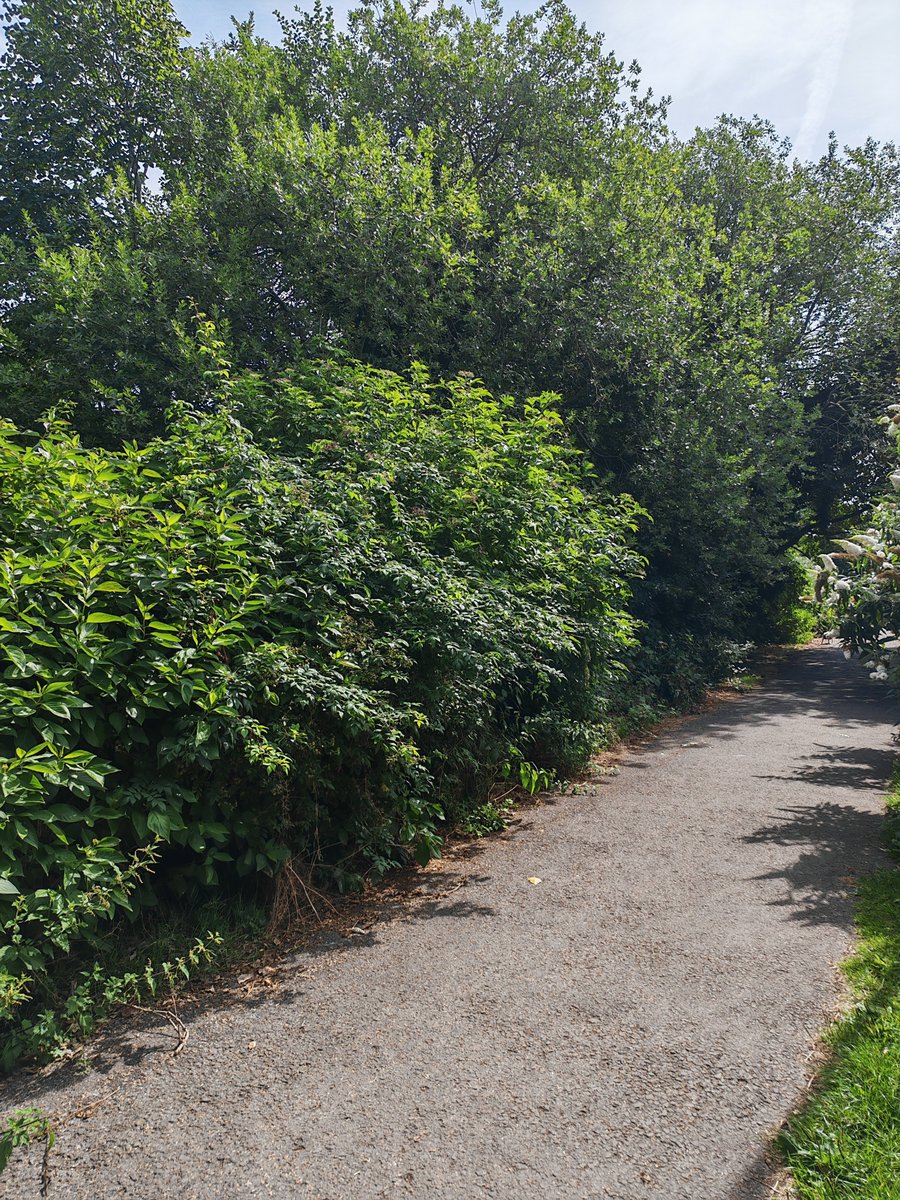 butty1010's tweet photo. @BuryCouncil https://t.co/FaoggSbLEw