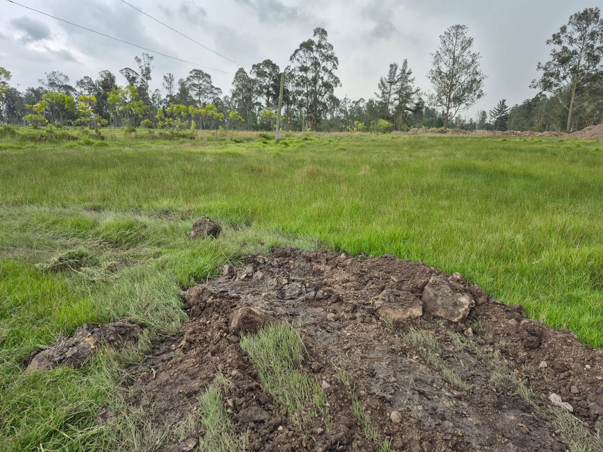 Alfred_Balle's tweet photo. No permitiremos que los permisos ambientales se usen para actividades distintas a las autorizadas. En Mosquera, Cundinamarca, suspendimos las actividades en un predio donde encontramos disposición irregular de residuos de construcción. Los responsables deberán retirar los materiales y cumplir la normatividad. 

#LaCARactúa