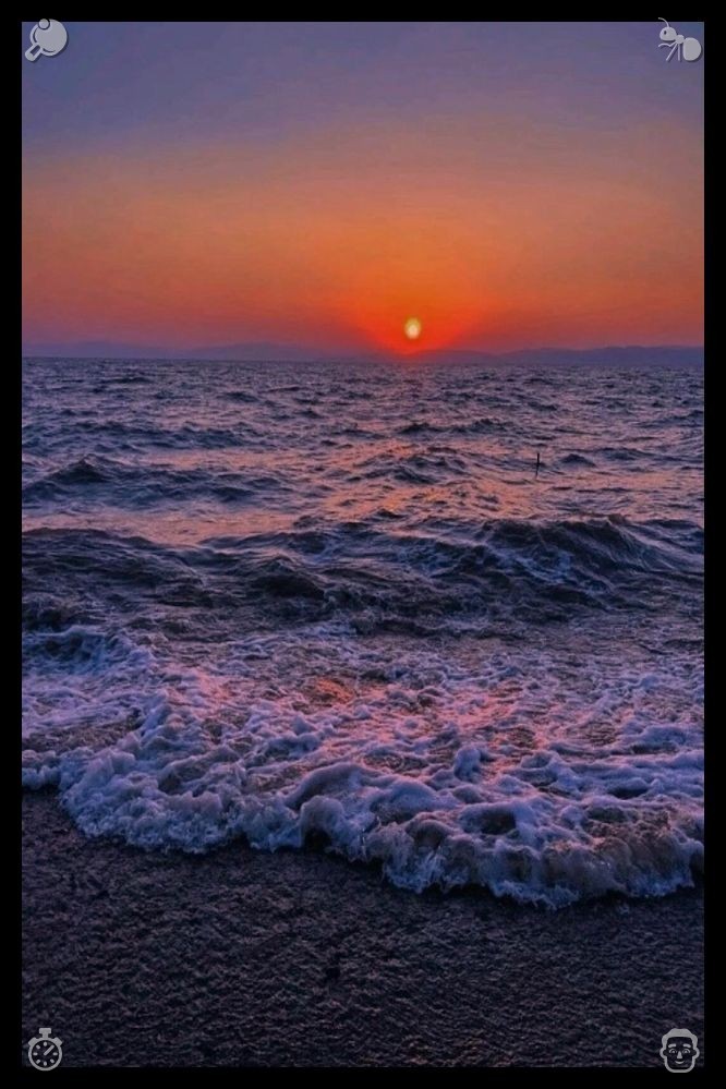 TradervicTM's tweet photo. 🥖A deep breath soothes the restless, overactive thoughts. 975927 Forgiveness blooms gently like delicate petals once conflicts subside, frustration gathers its biting remarks and departs, and I prioritize the connection we share above fleeting, wounded pride. https://t.co/pX7Fbai7QY