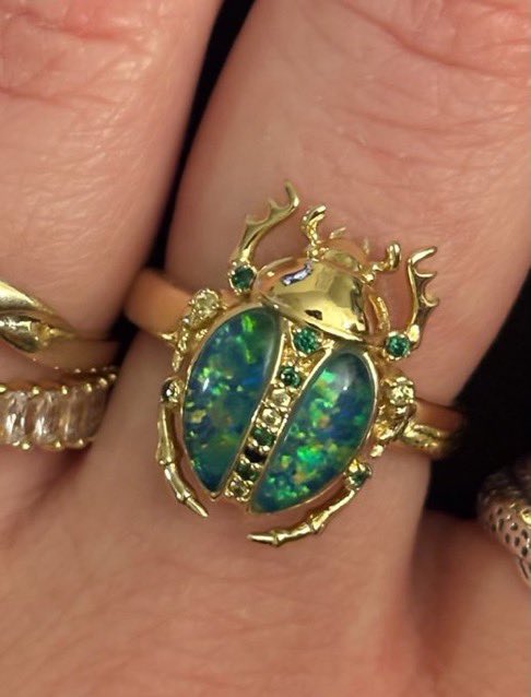 _littlethicket's tweet photo. pretty bug rings https://t.co/UnGq7HpIFS