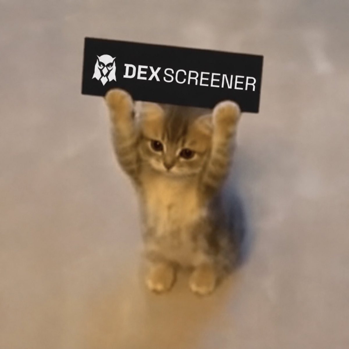 CallMeCeres's tweet photo. I’ve just paid for a $wiwiwi Dexscreener boost ⚡️

Should be live soon. https://t.co/li7pO1CFBW