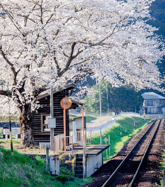 SloanePeredp's tweet photo. うまくいかないことばかりで、フリーランスってやっぱり自由っていうより孤独なんだなって改めて思う。クライアントの要望に答えられず、夜中まで頭抱えてるのを、世間は『自由な仕事スタイル』 https://t.co/RrTSpsAvTB