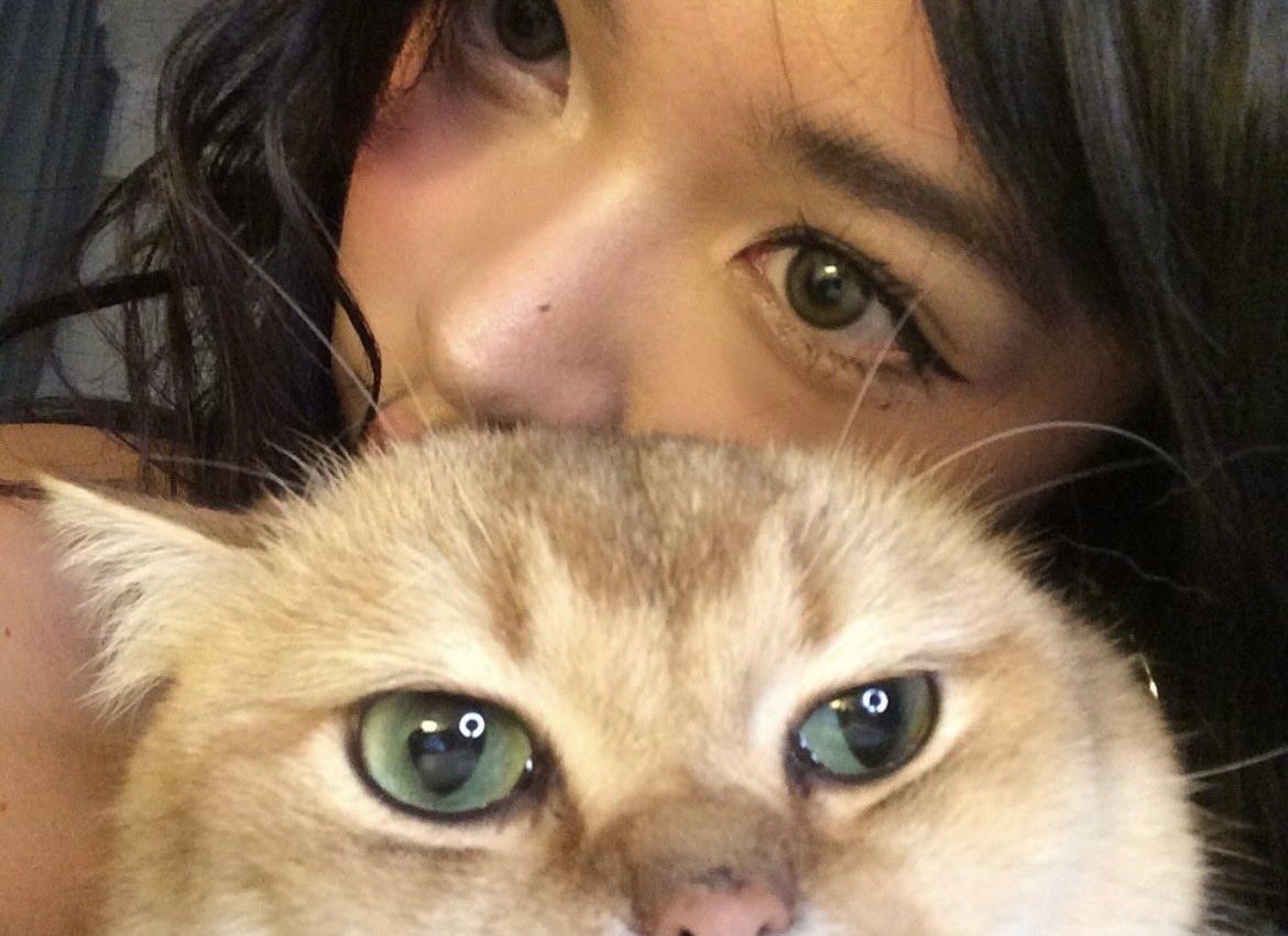 shiddotanaka's tweet photo. https://t.co/zL7gJWz3Ty