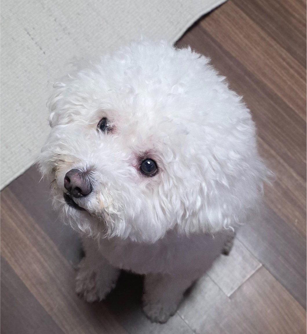 sodakissume's tweet photo. น้องชายบ้านไหนดูออกไม่ยาก https://t.co/rgP16IL6dK
