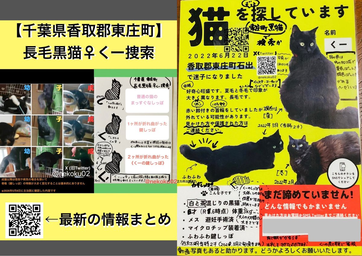 nekoku02's tweet photo. 【千葉県香取郡東庄町  鍵しっぽの長毛黒猫くー♀を探してます】
返信欄に詳細：マイクロチップを付けている為、読み取り機を購入して捜索を続けてます

⭕️2ヶ所が折れた鍵しっぽ
⭕️光の加減で黄↔︎緑に見える目
⭕️成猫のメスらしい小柄

 #東庄町 石出 '22年6/22迷子 下総橘駅 香取市 旭 銚子 神栖 https://t.co/WmGbMjSjA9