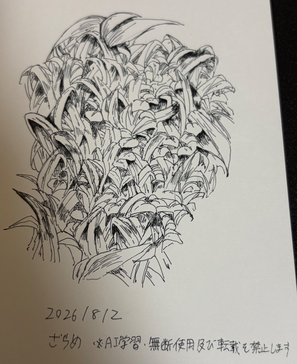 zaramemory's tweet photo. 植物の練習　#日々描く #ペン画 https://t.co/NeKDWttzlm