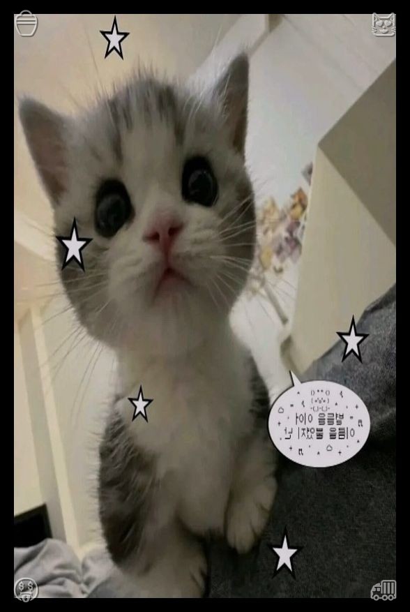 AltafAbu's tweet photo. 🎽Have faith, and you can overcome any obstacle.678035Elara dedicated her afternoon to tidying the home, wiping down the shelves, polishing the glass panes, and with each task, she sensed her grandmother’s spirit enveloping her, almost as if she was observing with pride in the https://t.co/Nv1fXvo5yo