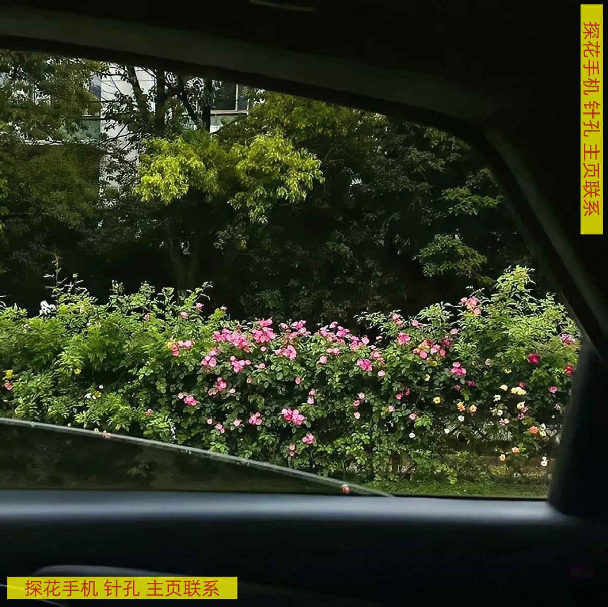 tonykr9's tweet photo. 街拍抄底   探花手机 Great things take time.
远程在线   针孔摄像头 Keep your dreams real.
考试设备   酒店偷拍 Create your own sunshine.

💊 星宁工作室 👉 @cinamo1216 

👍【4k像素+超清夜视】
👍【365天质保+顺丰包邮】 https://t.co/L5cf4R3xdE