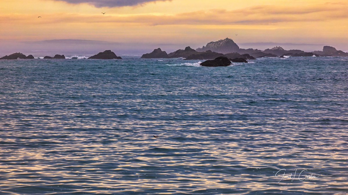 GilNantanail's tweet photo. Depth is often found where things remain quiet and settled. 🐚 https://t.co/2dSy2uP8ds