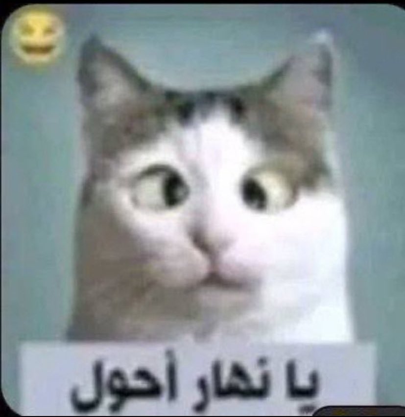 القاضي وهيئة المحلفين tweet media