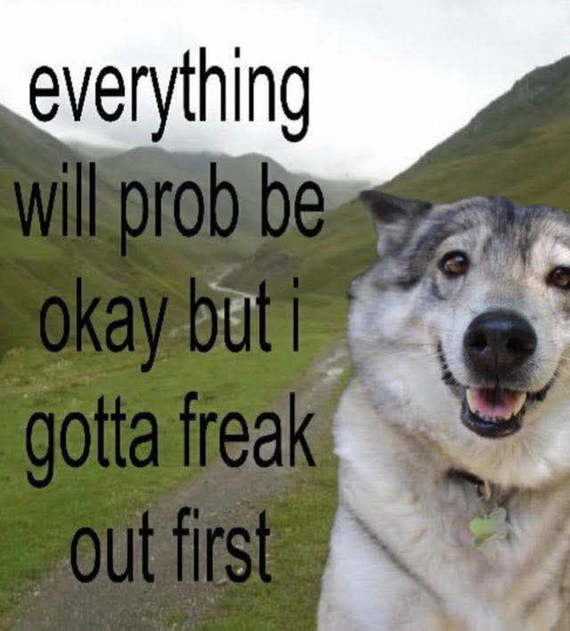 DoggyPosting's tweet photo. https://t.co/POe9NgM2Rl