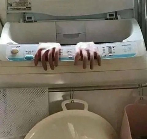 캣츠파파 tweet media