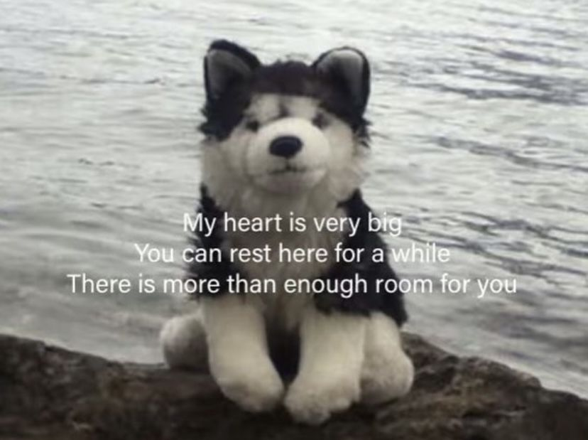 DoggyPosting's tweet photo. https://t.co/dYeLiCQMq8