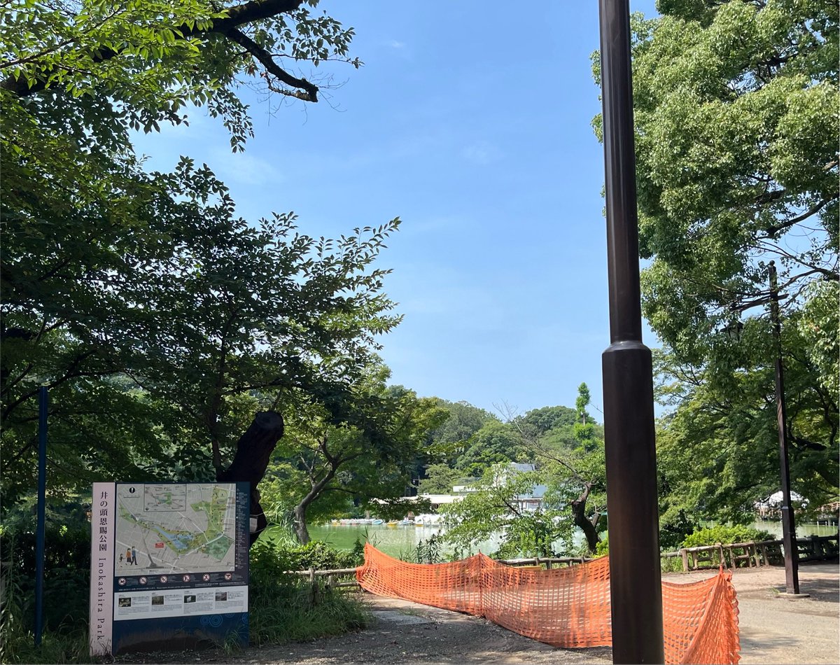 x4x_shine's tweet photo. イベントが阿佐ヶ谷であったので、電車が通り道だったから一回行ってみたかった吉祥寺に
ハーモニカ横丁って飲み屋だけじゃないんだ〜
暑かったけどたい焼き食べたかったから買ってかの有名な公園で食べた⛲️
イベントも散歩も楽しかった🙌 https://t.co/6etZTvnHiF