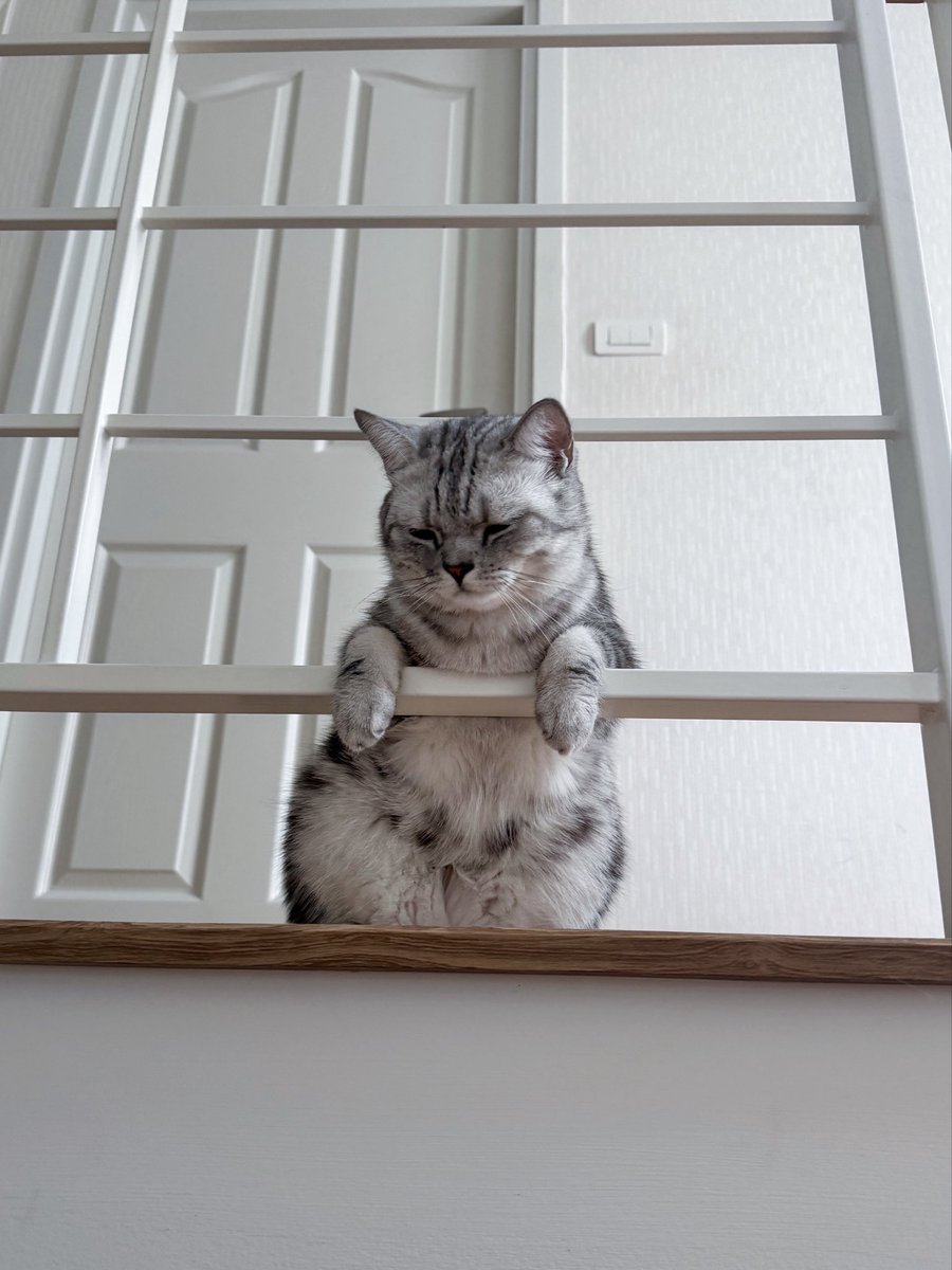 miephat's tweet photo. I really wonder how he’s feeling rn https://t.co/l1cBWWCf0B