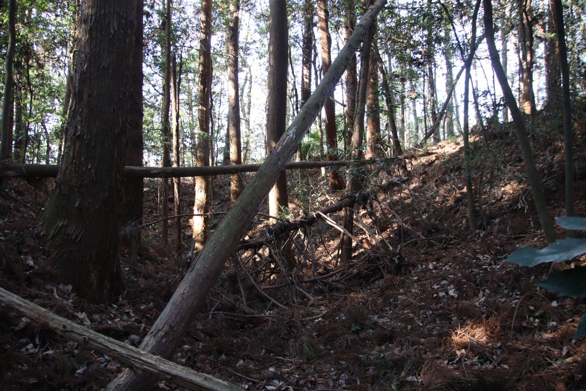 shngot1130's tweet photo. 茨城県小美玉市の一杯館
2026年1月の訪城
中根城の出城だったようです。藪化していますが大きな堀が巡っているのが分かります。中根城は太陽光が設置され立入禁止でした。 https://t.co/TrzoJTlrbc