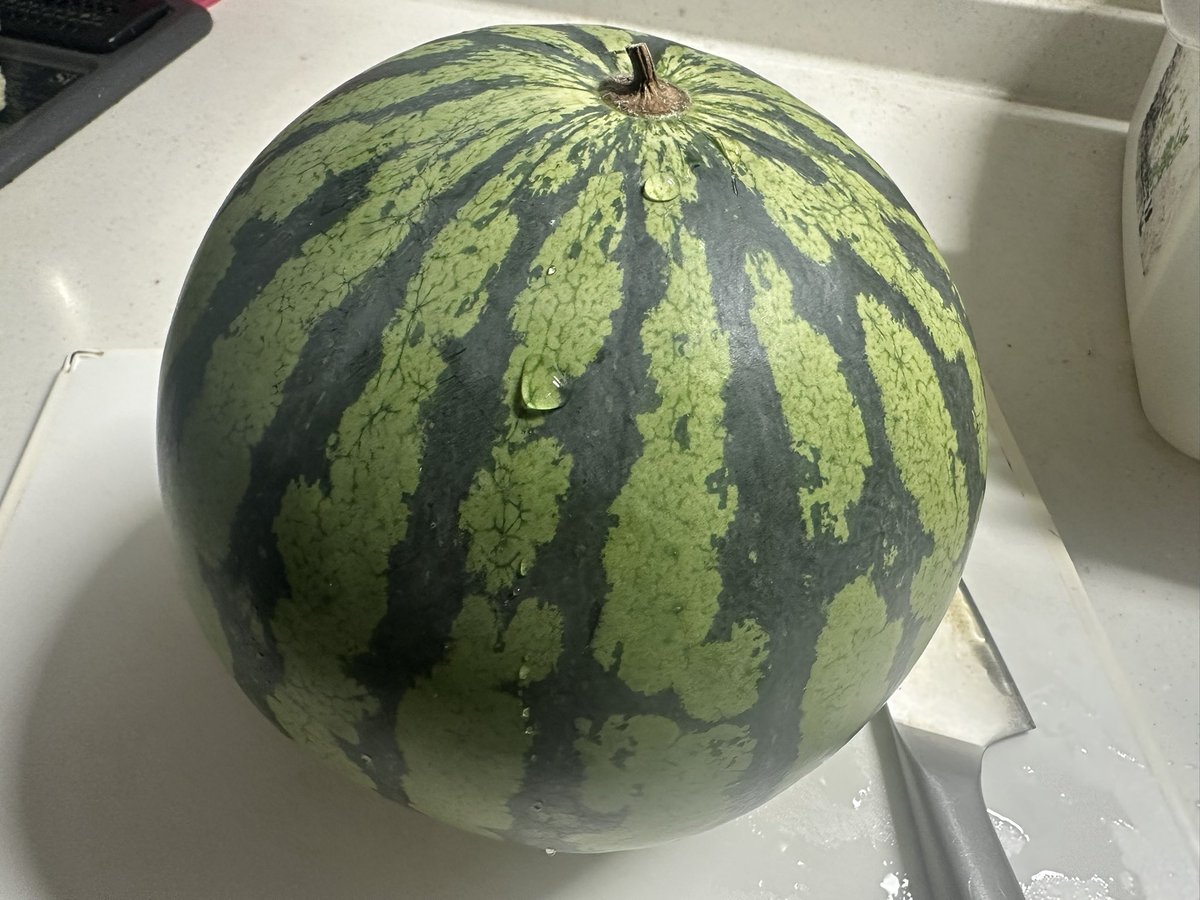 Summer_Walk5143's tweet photo. 切った🔪🍉✨
ちょっと早かったかも😂
でも、美味しかったよ😋 https://t.co/1FSUE8tW2q