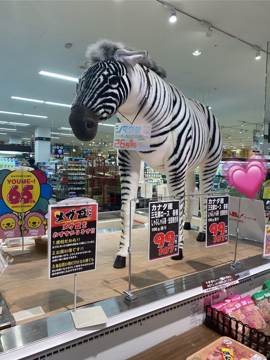 向山 (@mukouyama6) / Posts / X
