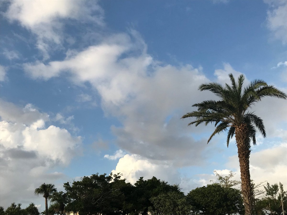picbaemon's tweet photo. ASA WEVERSE UPDATE https://t.co/tugJPaFSol