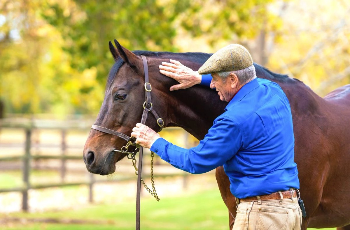 philip_ciwf's tweet photo. So sad to hear of the passing of Monty Roberts
His understanding and compassion for horses changed the lives of millions of people and animals, from all walks of live and from all over the world 
He had an extraordinary humility, talent and empathy for animals - helping traumatised and rescued horses with gentleness and kindness
Thinking of his family and all those millions he touched with his softness and teaching 
RIP Monty, ride high across those plains