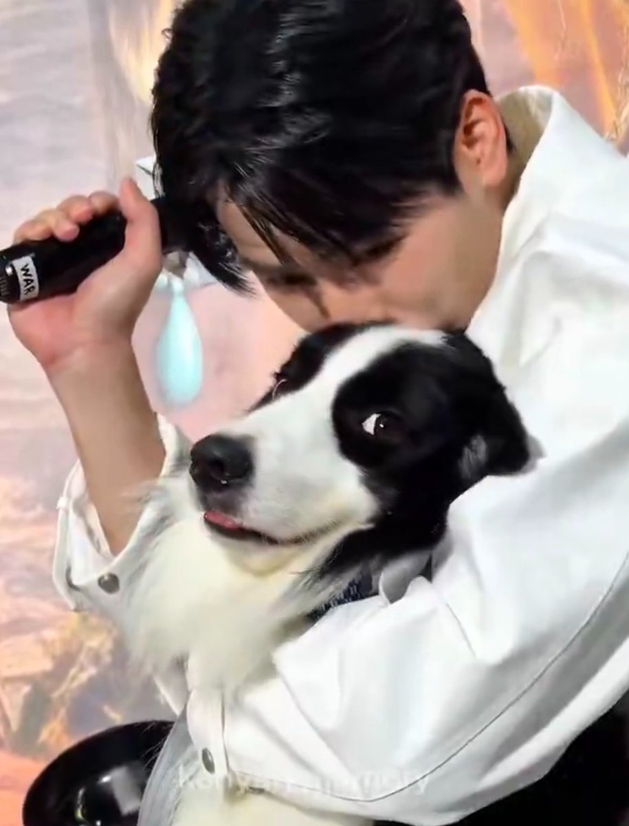 ice_eepp's tweet photo. ใครก็ได้ช่วยน้วยยยยยย แอ้กกกกก 

#VIFxYWZSPetexpo
#warwanarat #sammerbcollie https://t.co/xfG2U5LcFc