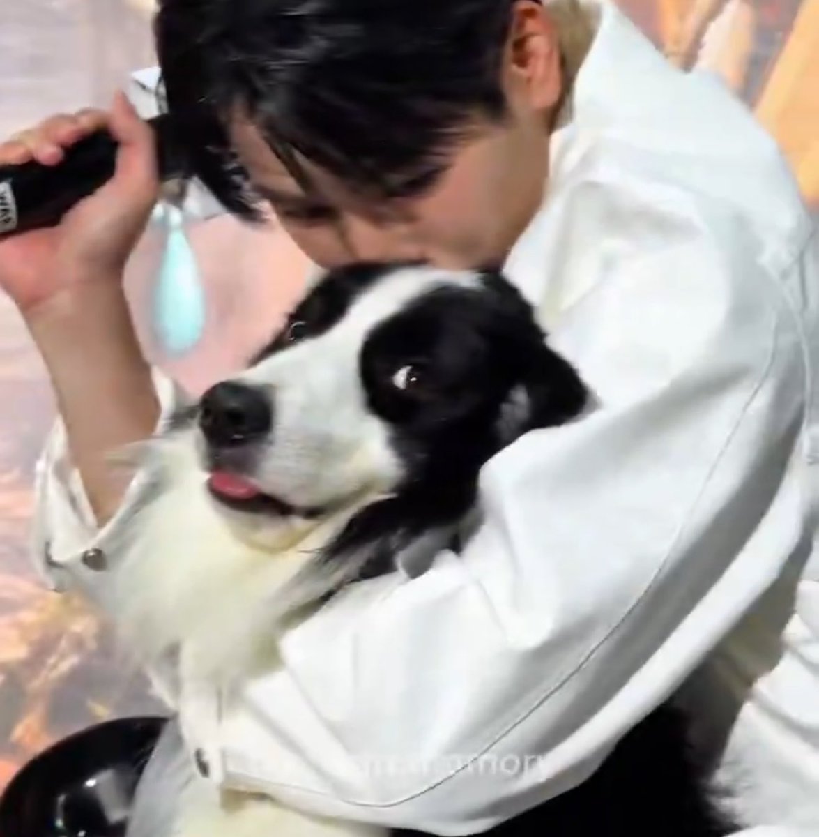 ice_eepp's tweet photo. ใครก็ได้ช่วยน้วยยยยยย แอ้กกกกก 

#VIFxYWZSPetexpo
#warwanarat #sammerbcollie https://t.co/xfG2U5LcFc