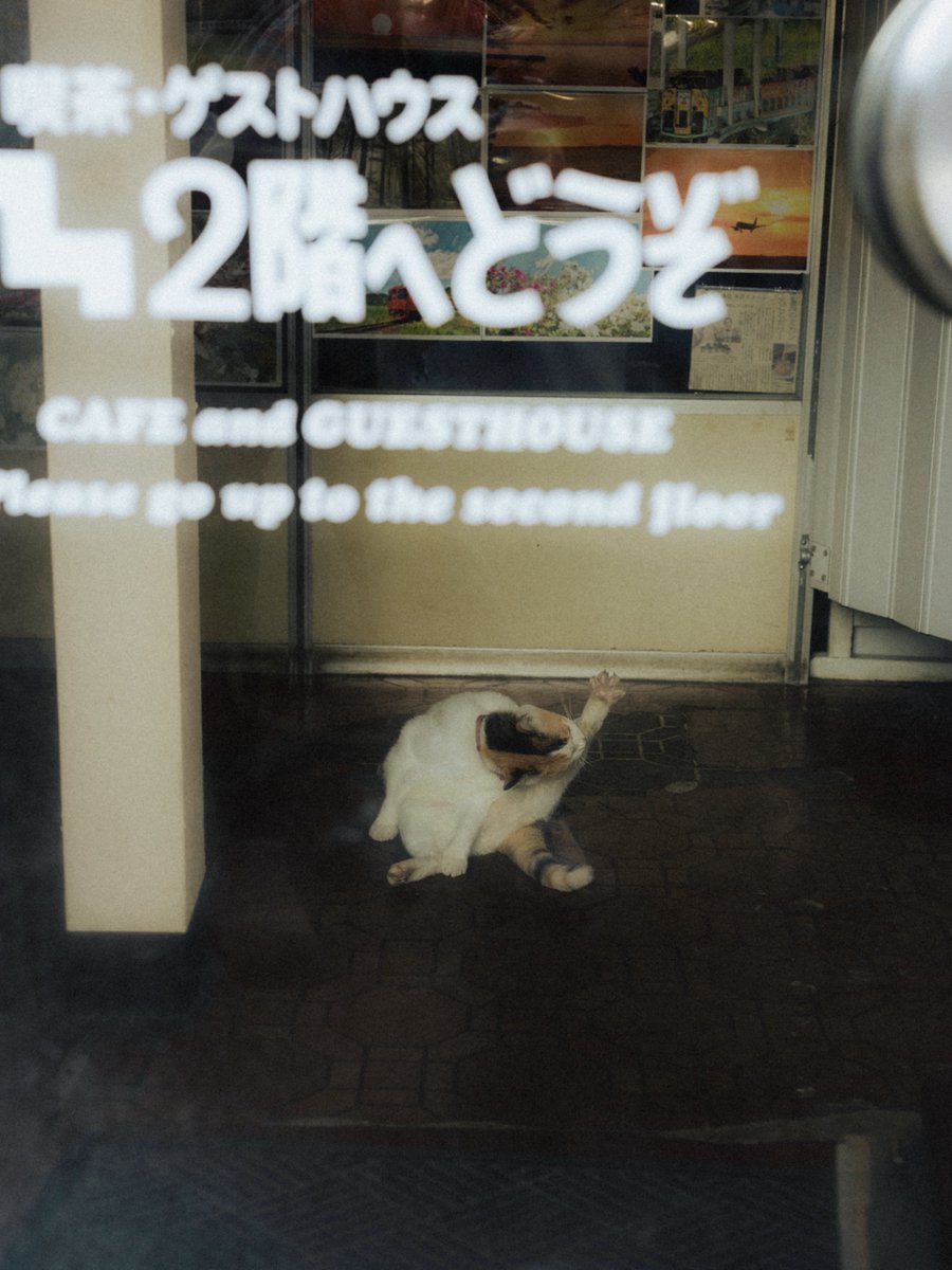 taigashot_'s tweet photo. 海に恋する、泊まれる喫茶店ポパイ https://t.co/k2G545kSMW