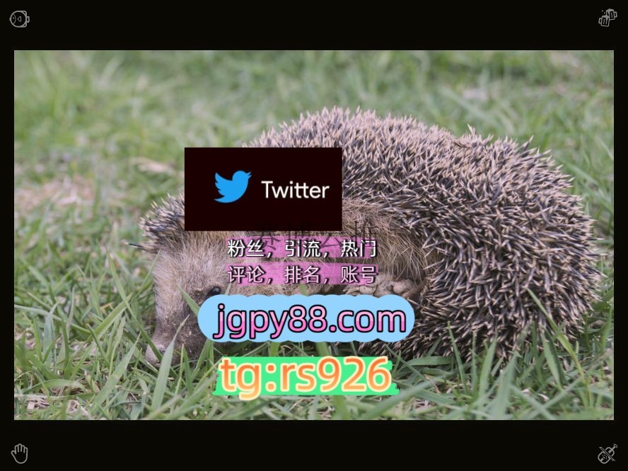 super22264's tweet photo. Value people and love them deeply always.
点赞号海外获客🪐主人的任务🌱外🦓facebook代发
霸屏🪐群发私信💐海外获客🍀推特账号批量发帖、多账号管理、推广营销台州
关键词霸屏🧳熱門🌈权重号🌟推特���号🍄定時發推💐推特脚本围794317自动脚本
推特软件银川代发金华
上热门instagram🦖 https://t.co/xhPwBc7GIN
